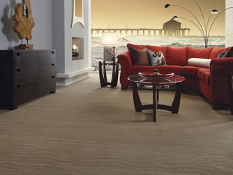 Gallery of Floors - Carpet